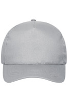 Light-grey (ca. Pantone 400C)