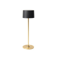 golden (± PMS 7506C)