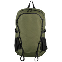 Dark Green (#424716)