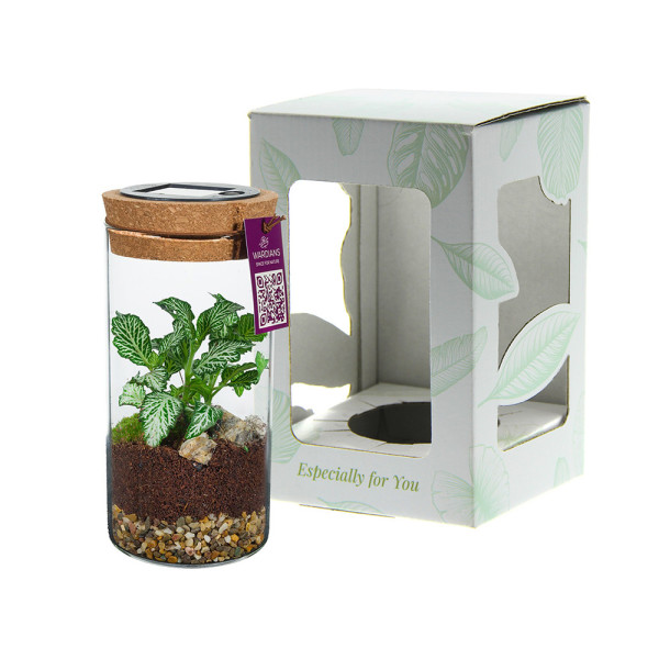 Wardians® Ecosystem - Cylinder small + Solar LED