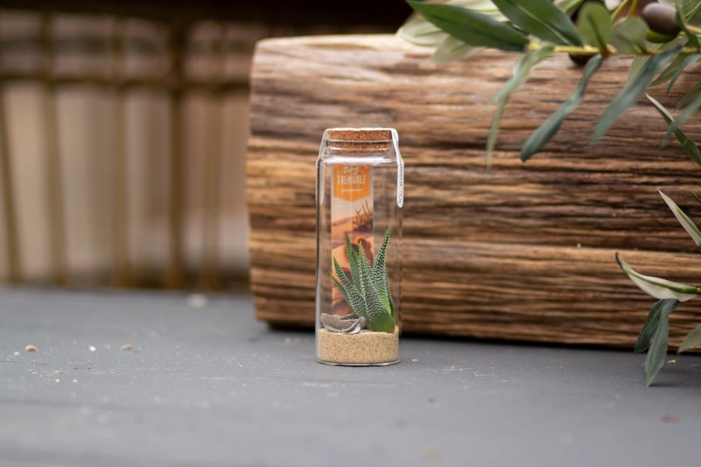 Tiny Treasurez® - Message in a bottle large, In Geschenkbox, Grün