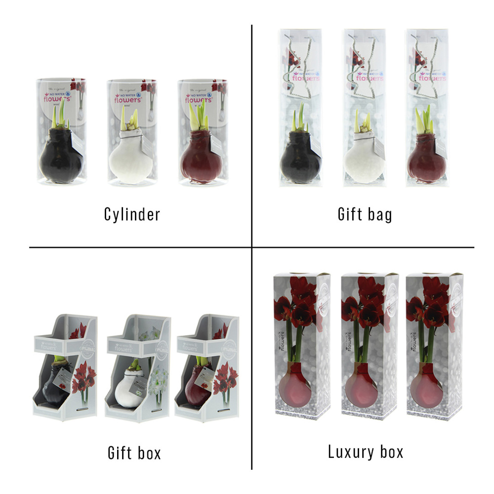 No Water Flowers® - Fashionz Elegant mix, Ohne Verpackung