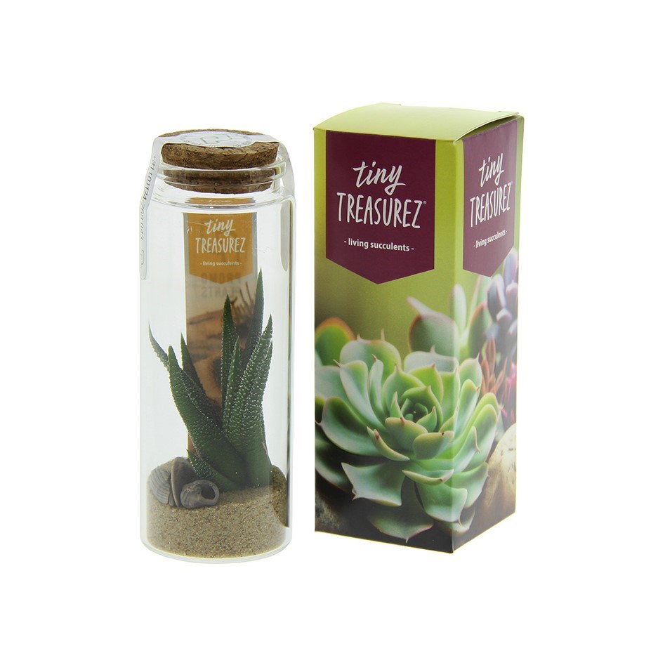 Tiny Treasurez® - Message in a bottle large, In Geschenkbox, Grün