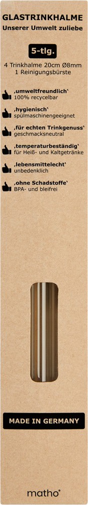 4er Glastrinkhalm Set + Bürste