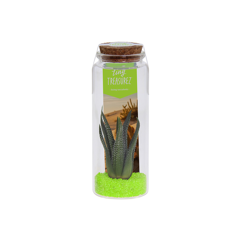 Tiny Treasurez® - Message in a bottle large, In Geschenkbox, Grün