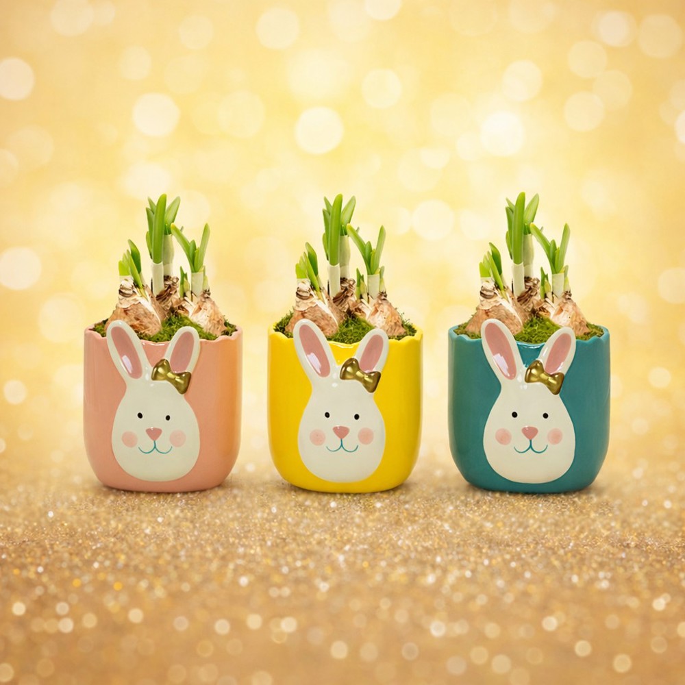 Easter golden bunny medium - Narzisse, In Zellophan mit Schokoladeneiern