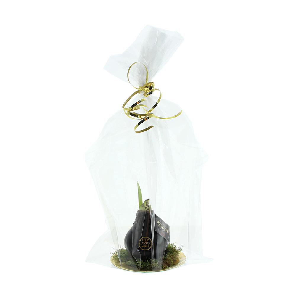 No Water Flowers® - Waxz® on golden dish, Ohne Verpackung, Silber