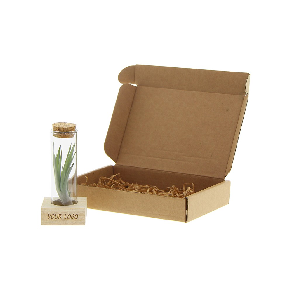 Airplant - Single tube & wood