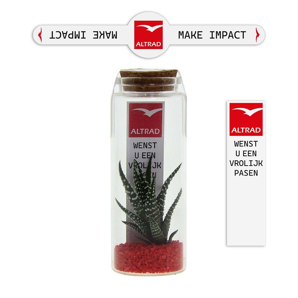 Tiny Treasurez® - Message in a bottle large, In Geschenkbox, Grün