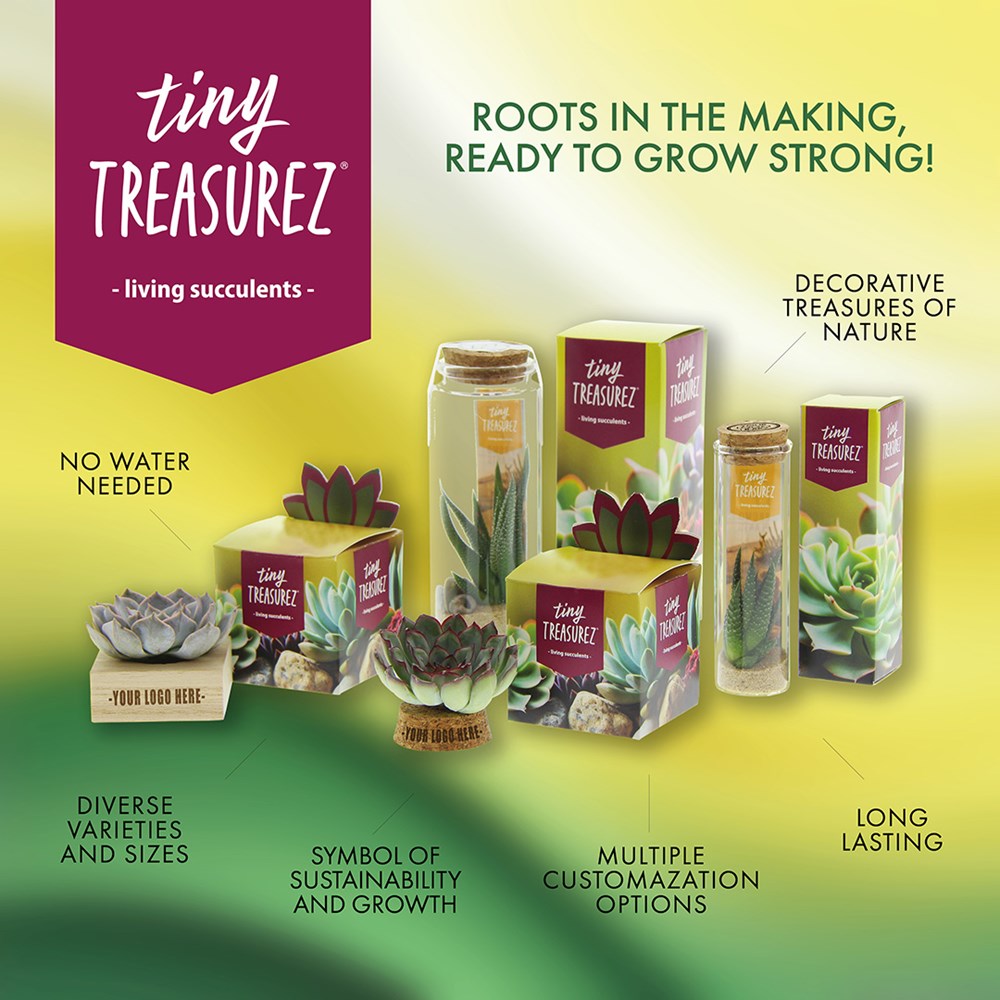 Tiny Treasurez® - Message in a bottle large, In Geschenkbox, Grün