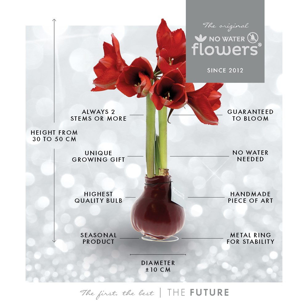 No Water Flowers® - Waxz® on golden dish, Ohne Verpackung, Silber